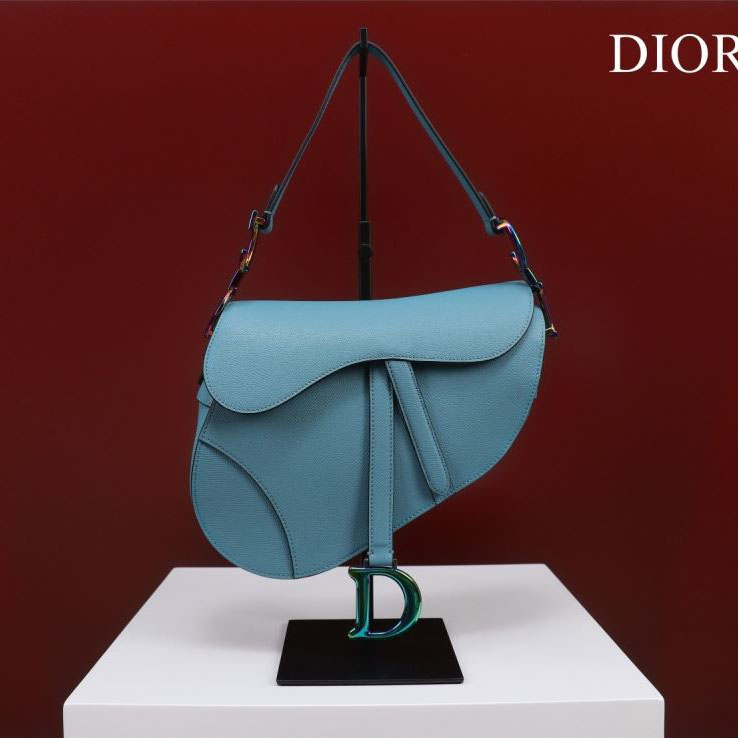 Christian Dior Saddle Bags - Click Image to Close